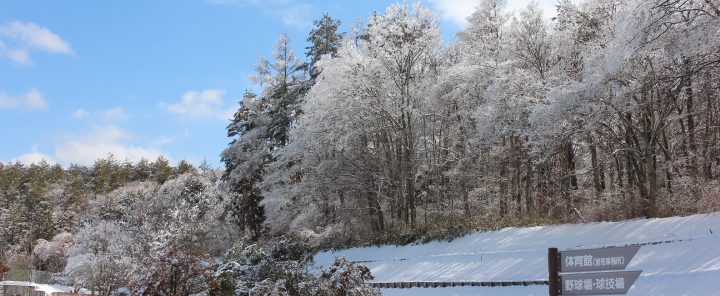 冬の公園（雪化粧）