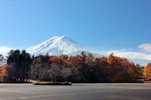 園内風景②